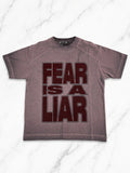 Fear Is A Liar Tee – Pink Edition